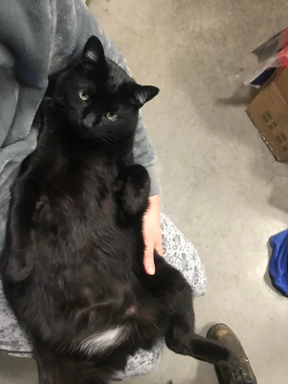 We have been together 19 1/2 years now!