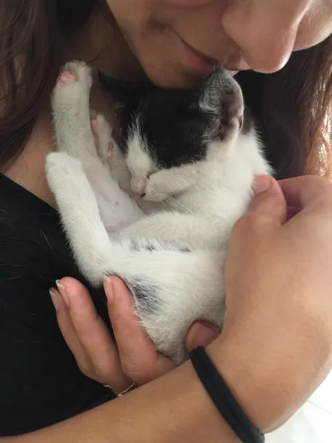 This was the day she was found on the side of the road, and we became her forever home. It was just meant to be. Our precious Angel 😇