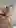 POV: A redhead rides your face