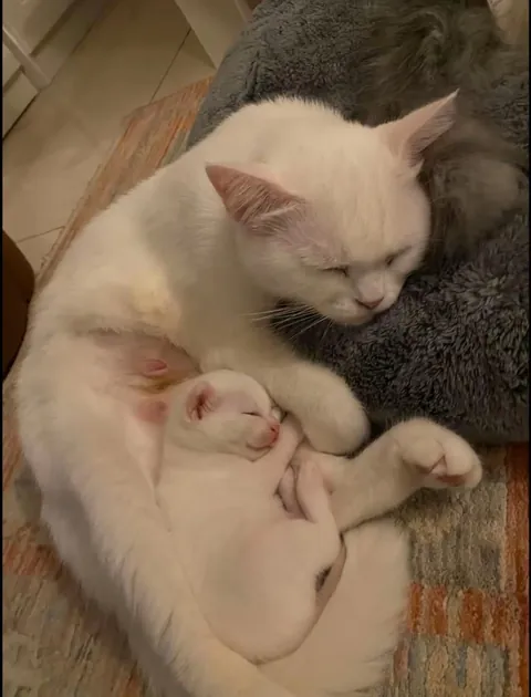 She's in love with a criminal.😛❤️