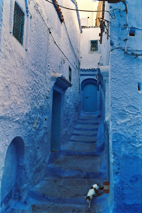 Enjoying the slow life in Chefchaouen, Morocco