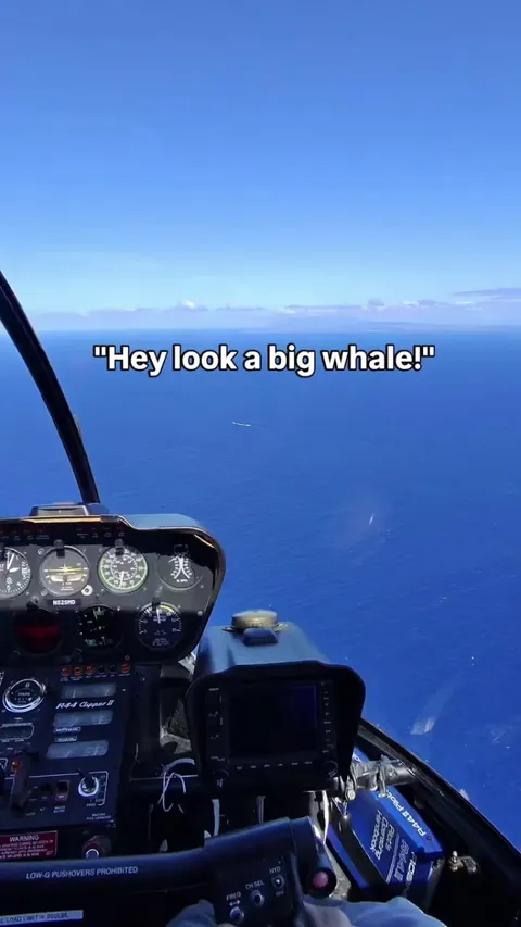 Casually coming across a submarine in the wild