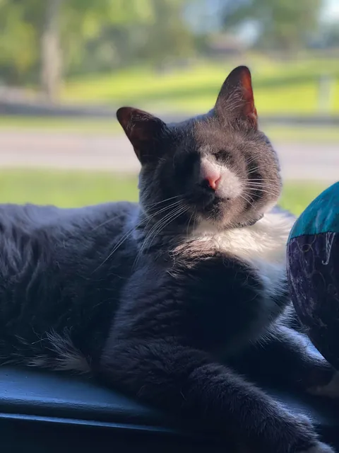 It’s Braille’s 9th Birthday!