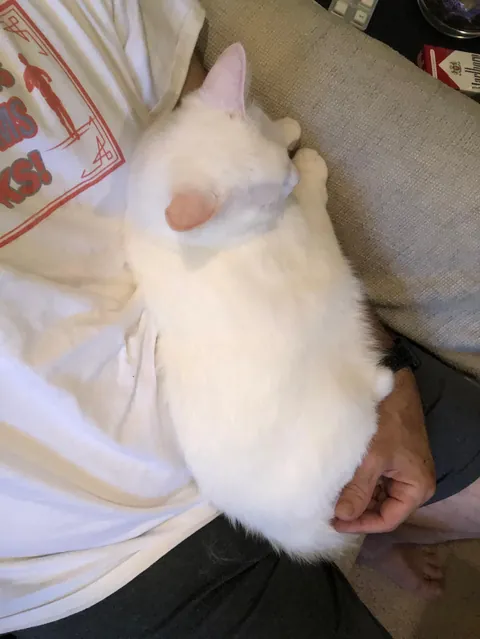 Nine Years &amp; Counting