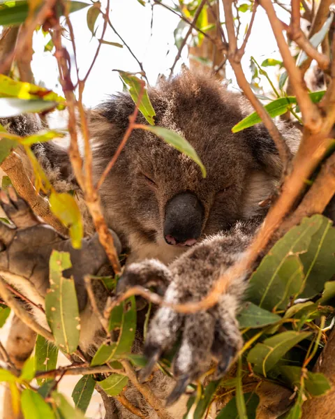 Photos from in and around Melbourne, Australia. 