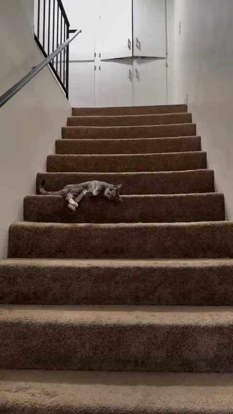 I Am Almost There, Mom... Almost