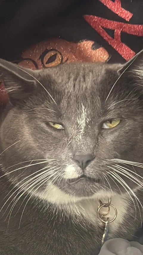 Cowboy looking completely brainless, a common theme for him