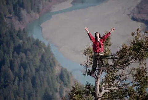 Julia Butterfly Hill an American environmental activist best known for having lived in a 200-foot (61 m)-tall, approximately 1000-year-old California redwood tree for 738 days between 1997 - 1999. Hill lived in the tree, ultimately reached an agreement with the lumber company to save that tree.
