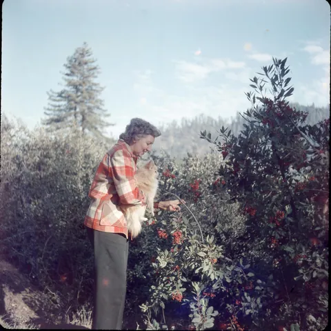 1950s Alaska, near Skwentna
