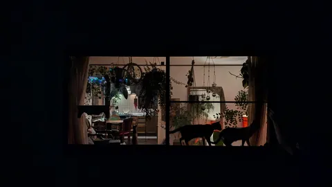 My first place after moving out of my parents. I'm so happy with it :)