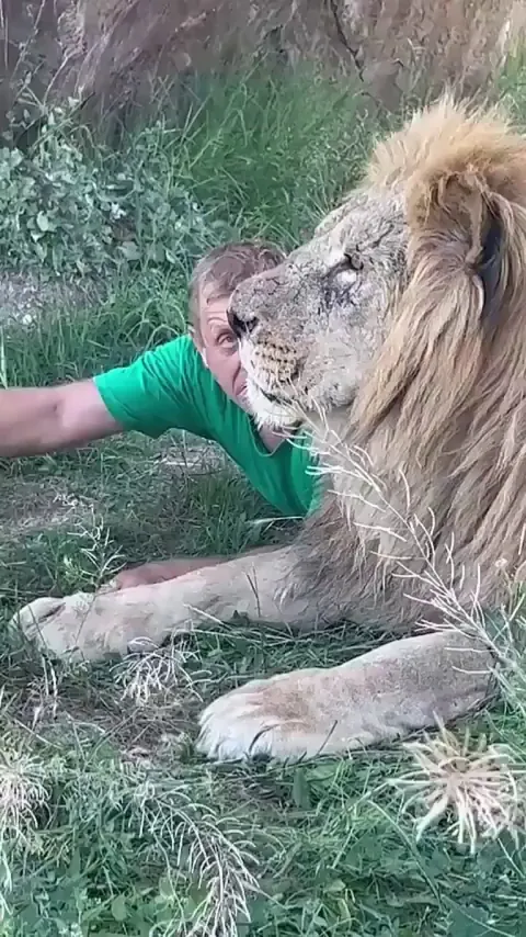 Two beings. No words. Just mutual understanding.