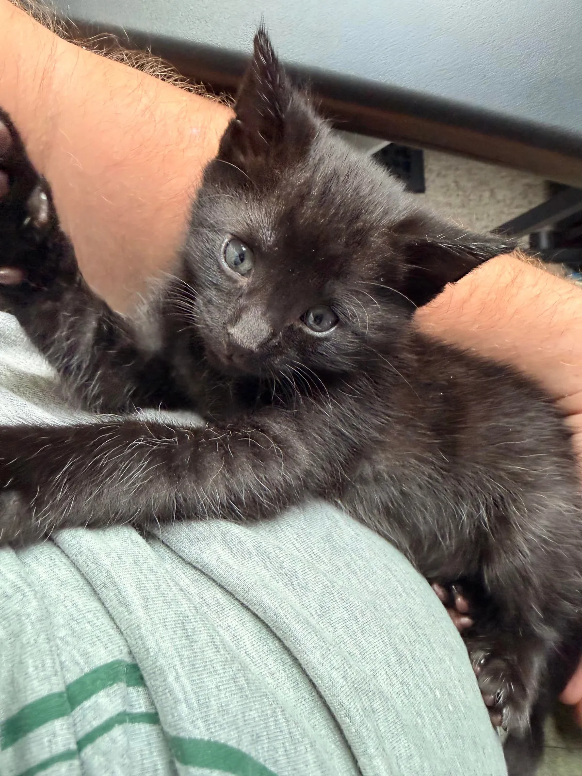 How it started 5 weeks ago. How it’s going now