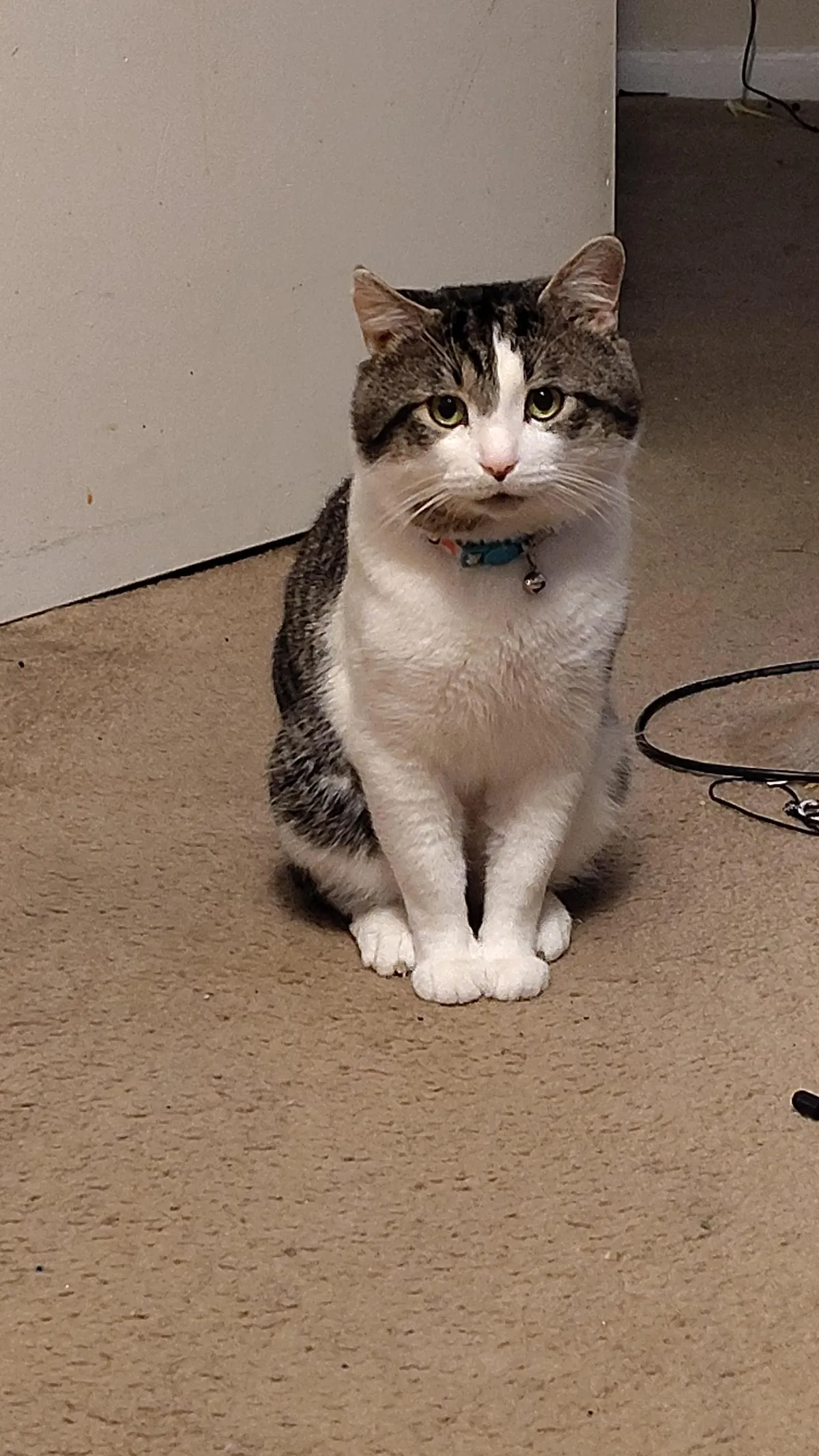 Why does he do this? Just stares at me