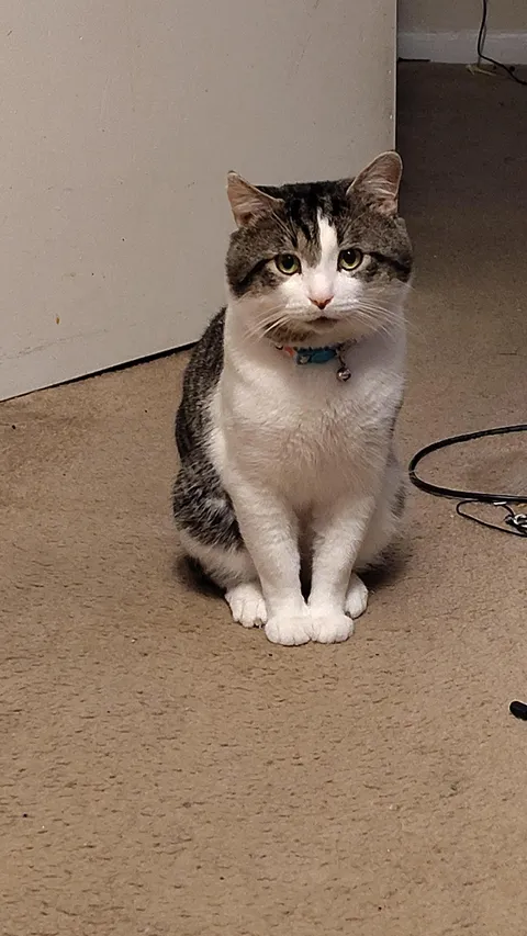 Why does he do this? Just stares at me