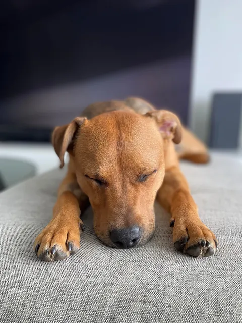 Hector through the years. Which is your favourite photo