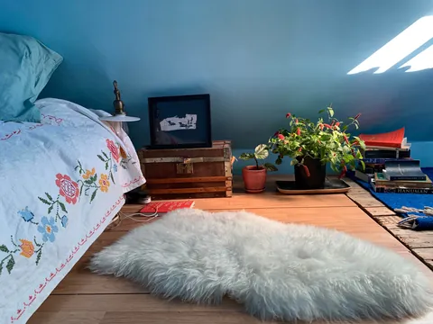 Once upon a time, I lived in a converted shed in New Mexico