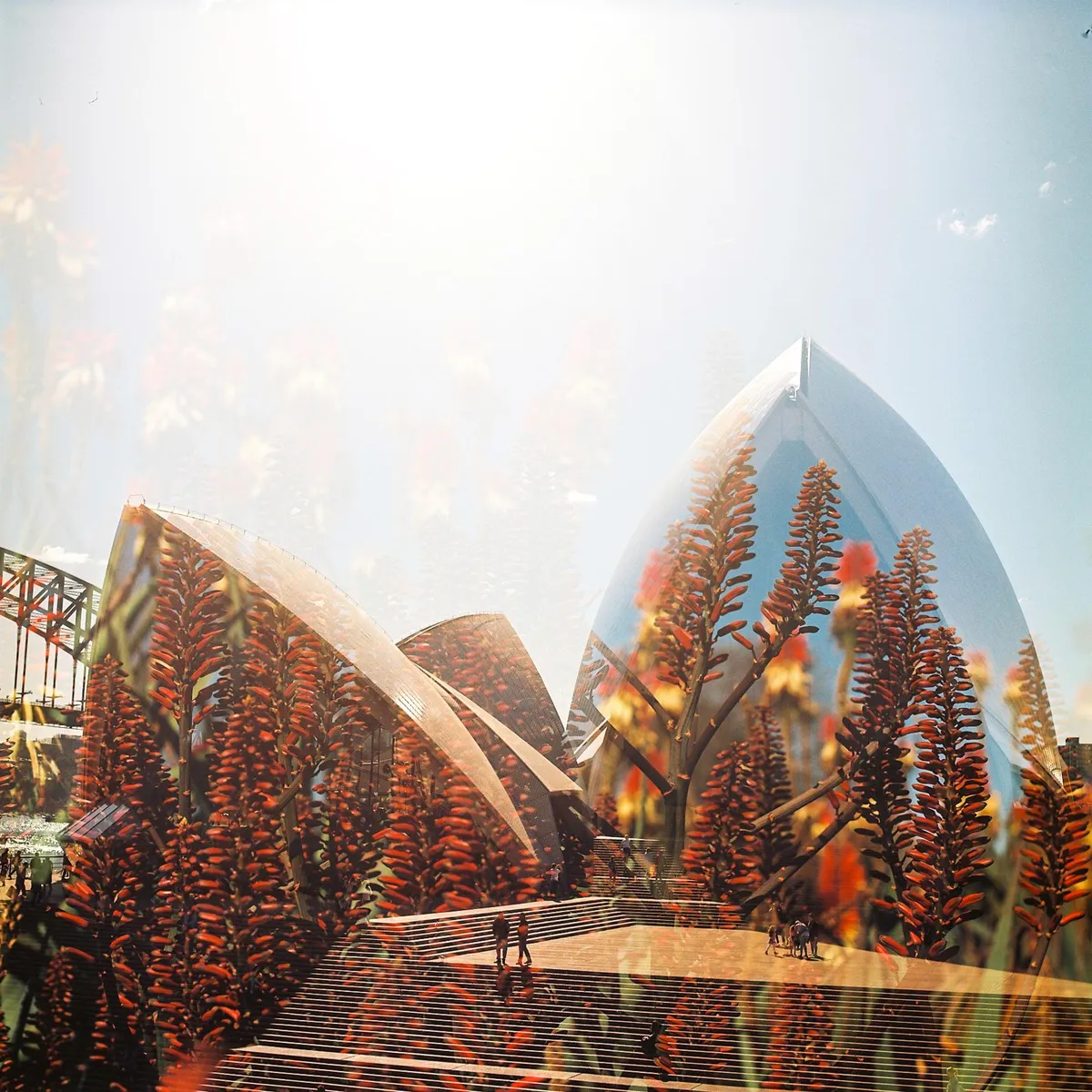 Double Exposure on film, no Photoshop. Looking for feedback!