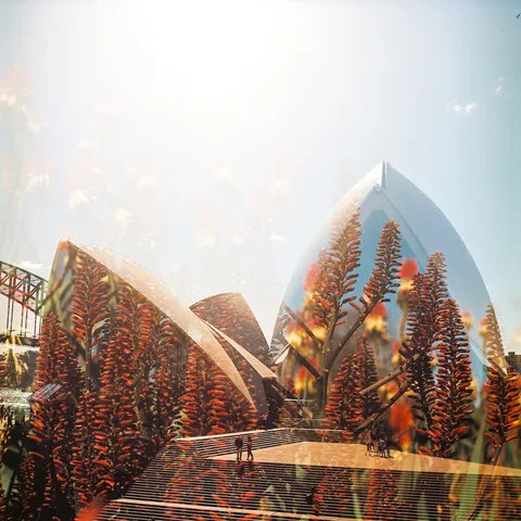 Double Exposure on film, no Photoshop. Looking for feedback!