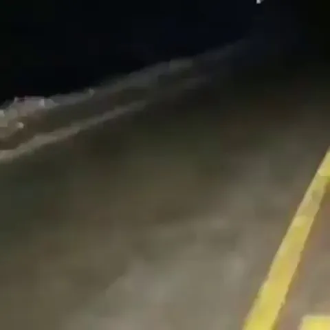 🔥 This enormous wolf