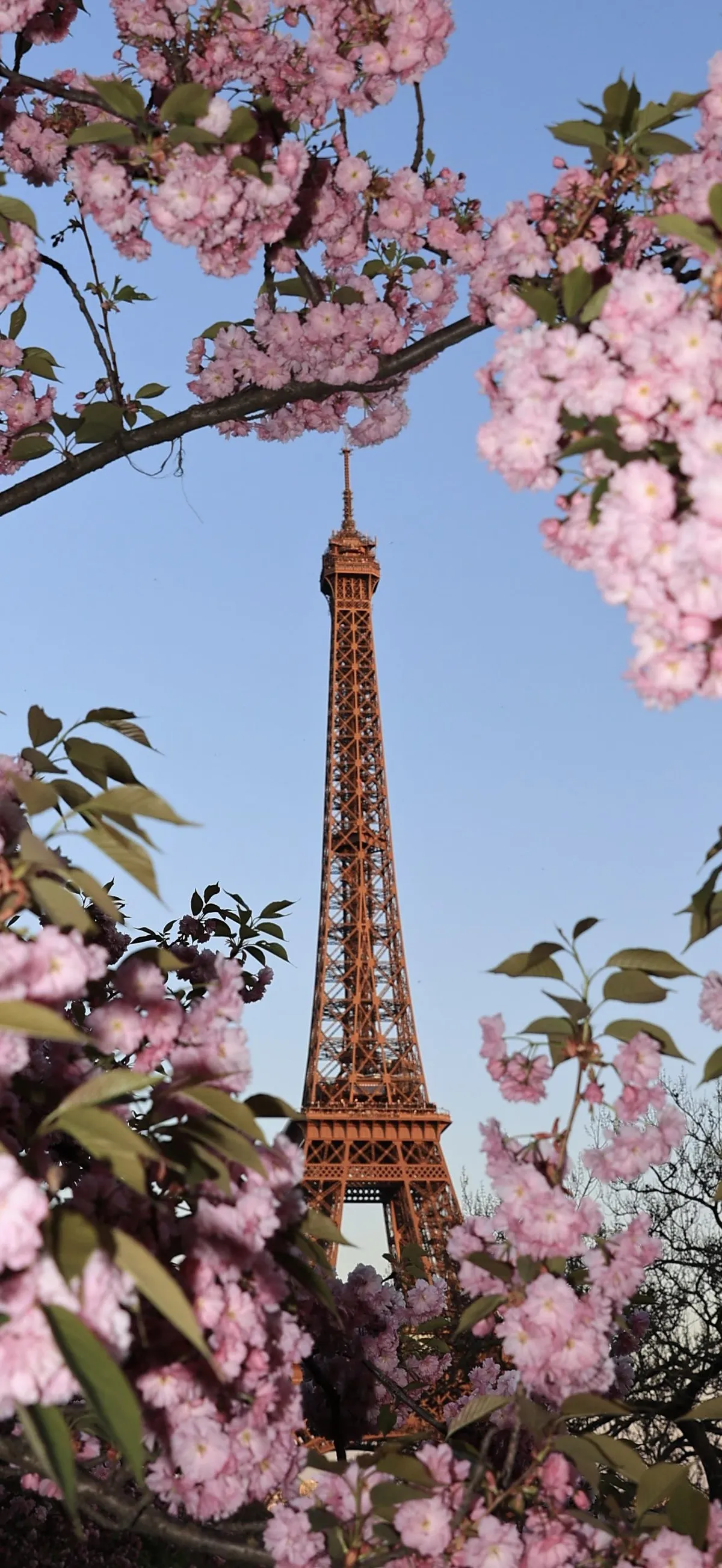 I think this is my best photo while travelling.