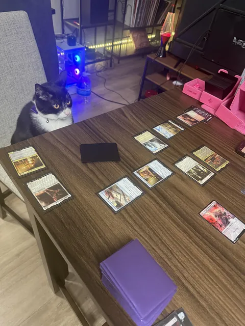 I'm so proud of my boy! He's a professional Magic the Gathering player!