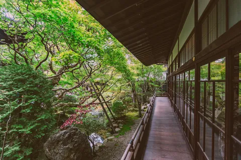 Report of my short Kansai, Japan trip