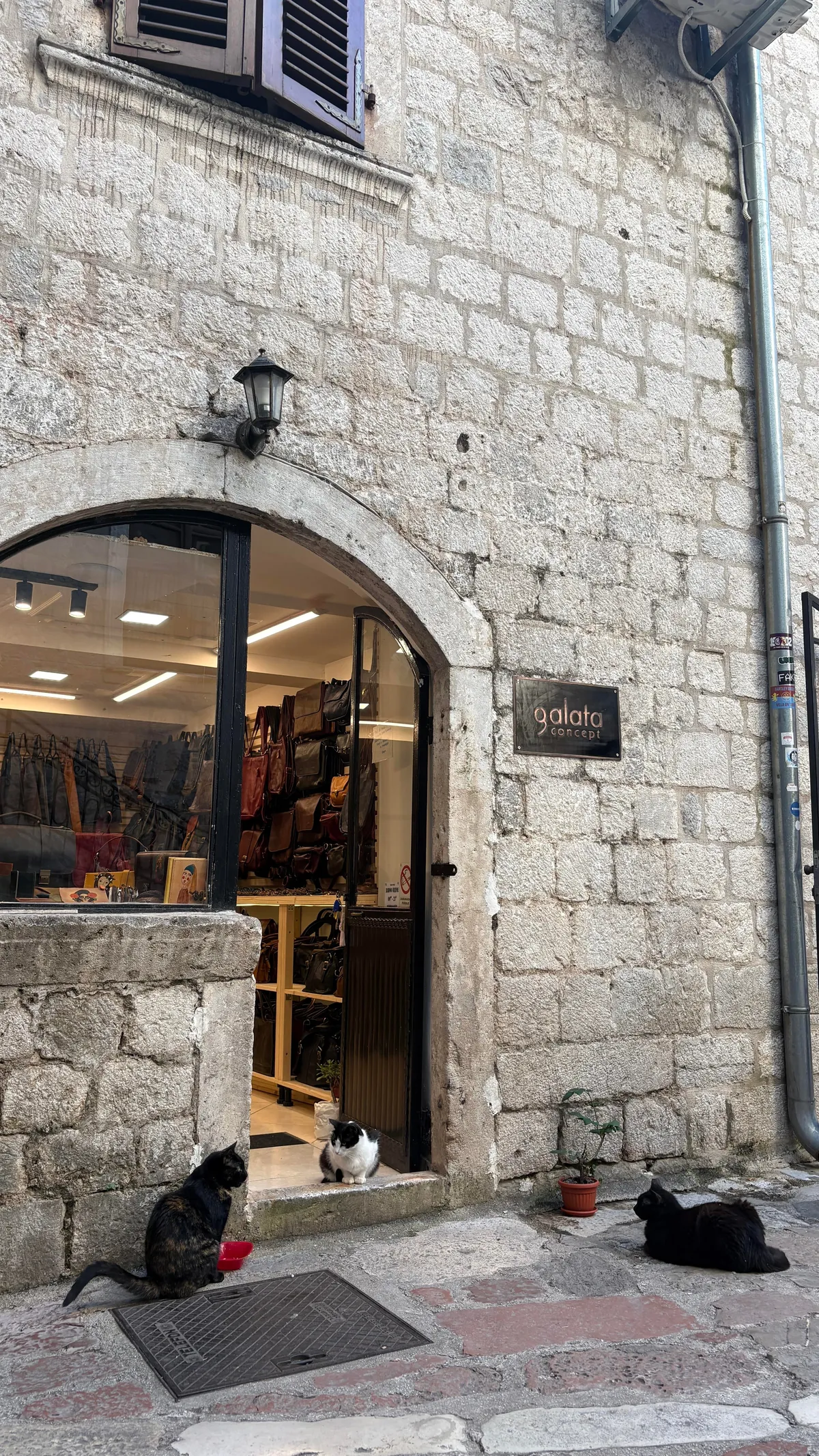 I visited Montenegro in the Summer!