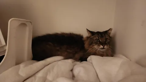 A year and a half, but my little boy is home.