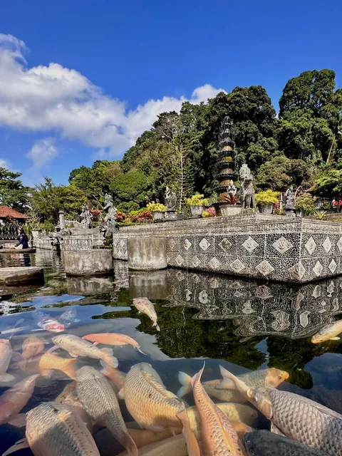 Bali 3-week trip. Highlights of waterfalls, rice fields, insane coast lines