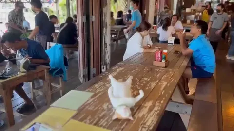 In a state of nirvana