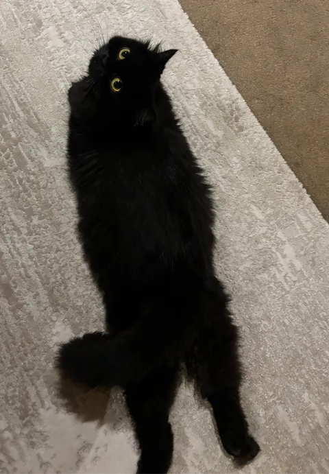 i love it when she sits like that