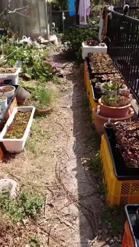 Stay out of my garden!