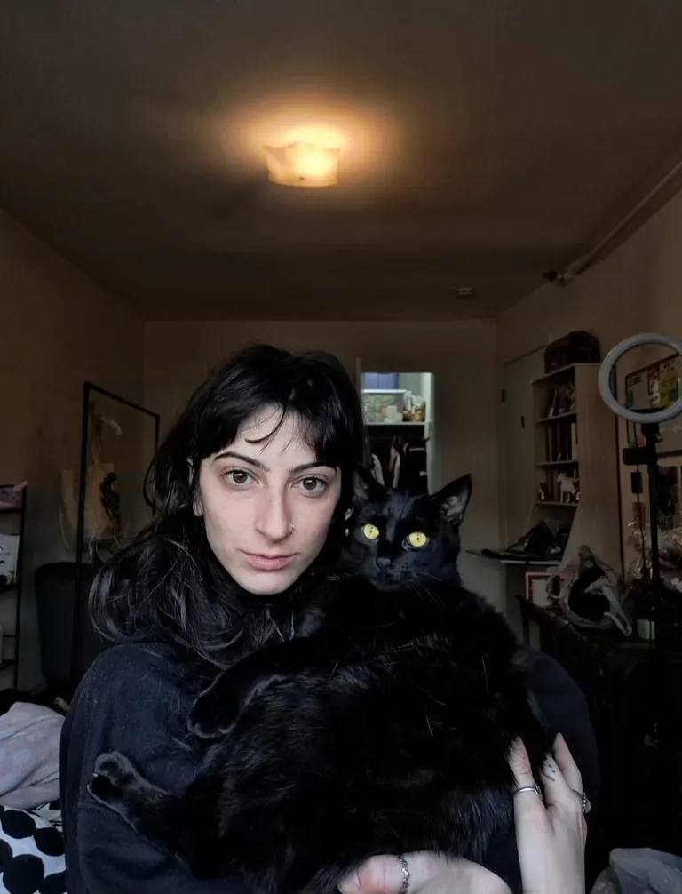 Five years ago today I happened to be on the "free" section of Craigslist and came across a cat that was attacking toddlers. I knew right then and there that she had to be mine. Happy "Gotcha Day, " Pretty 🐈‍⬛❤️