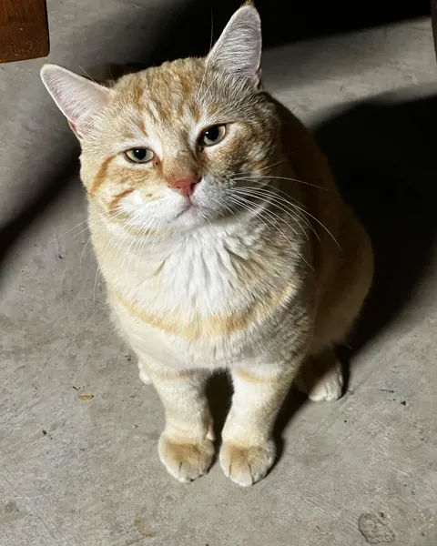 My Dad named this guy Cheese