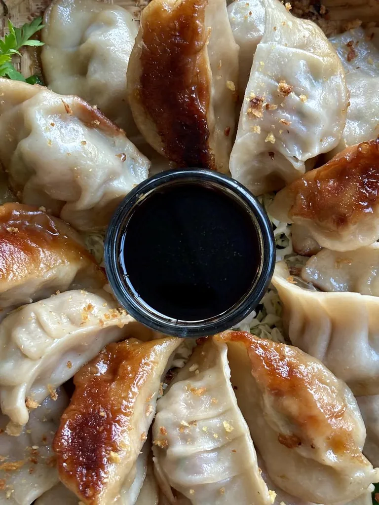 Homemade Gyoza Dumplings