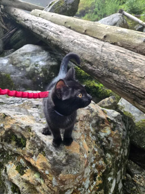 Kat's first adventure