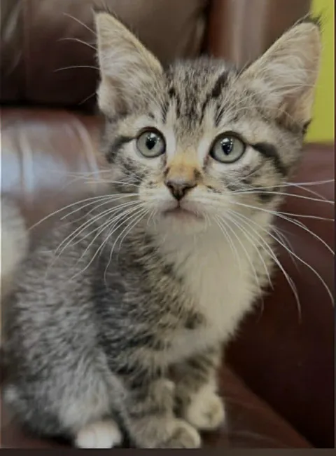 Promise made. Promise kept. Welcome home, Anna.