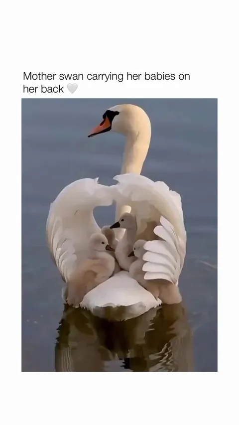 The beauty of nature