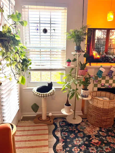 Baking and making snowflakes while my girl lounges in the window 🐈‍⬛💛