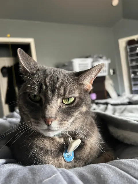 Everyday I wonder how I’m her 5th owner