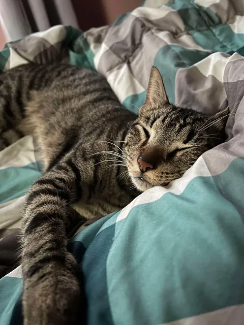 My bubba passed away suddenly.