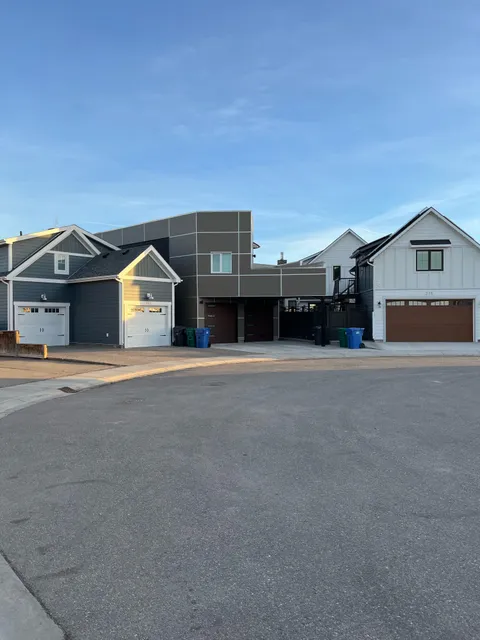 what the hell is this home?