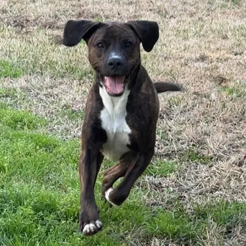 I was adopted 2 years ago today!