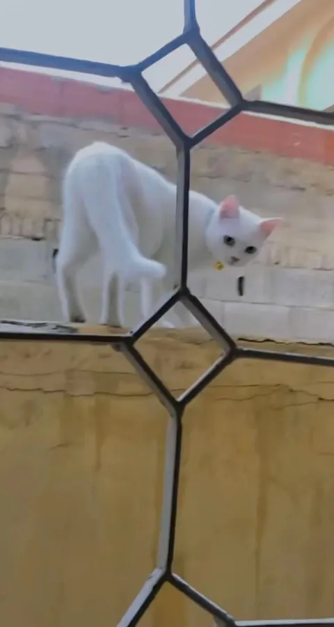 She's in love with a criminal.😛❤️