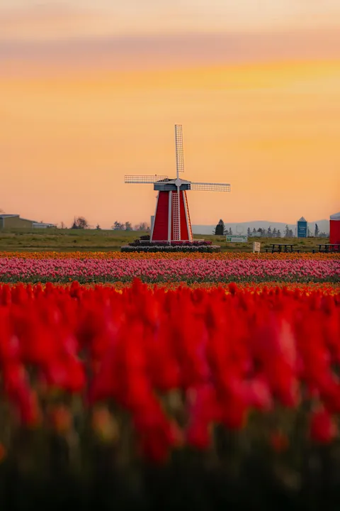 ITAP of a windmill