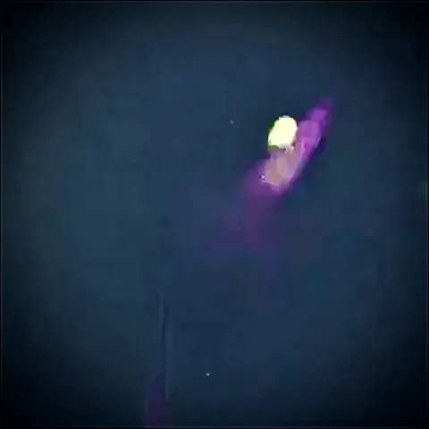 T-cell battling a Cancer cell.