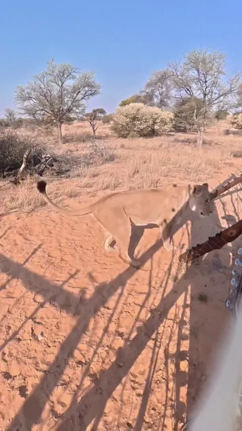 When she had nobody... she had him