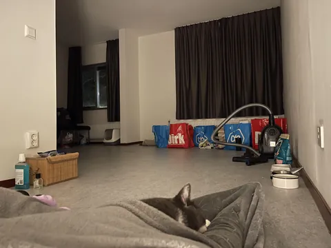 After being homeless for 1,5 year, my cat and me are sleeping in our new apartment tonight
