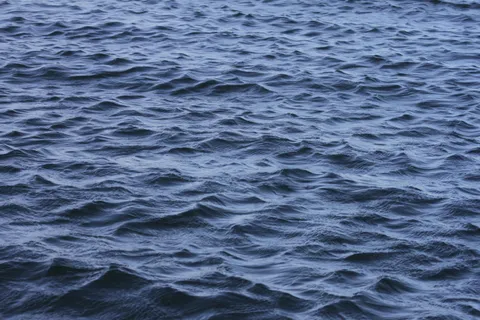 Sometimes I can't tell if photos like this are only interesting to me. Does it do anything for you?