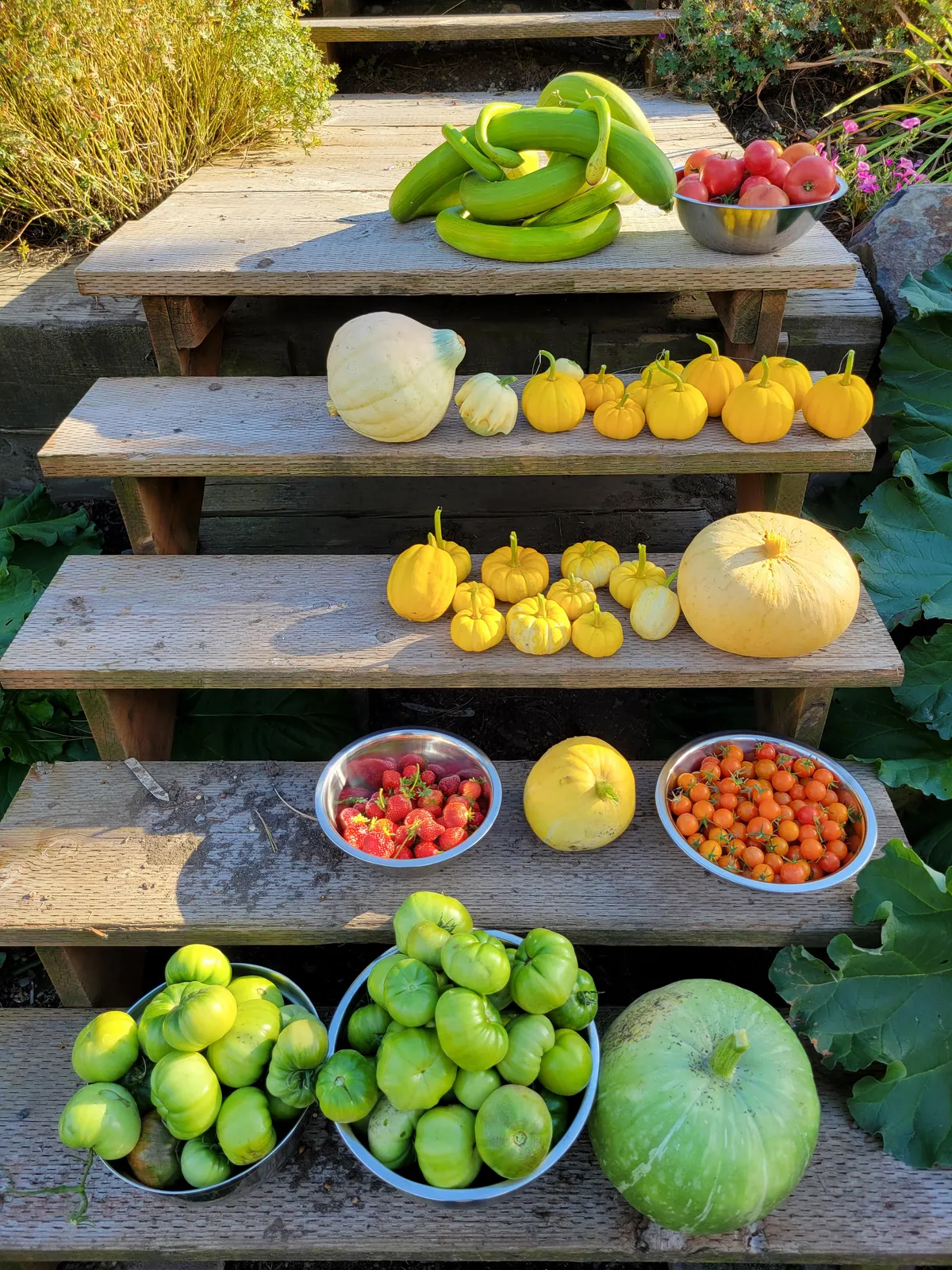 Last harvest before the frost.
